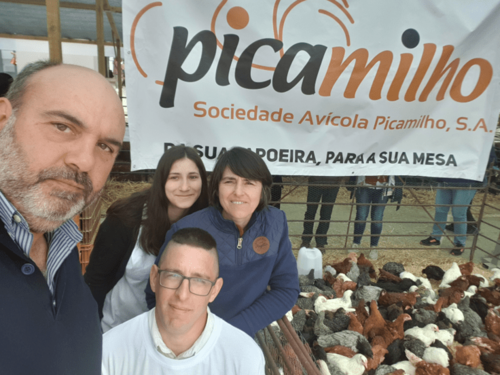 Picamilho