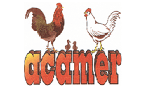 Picamilho